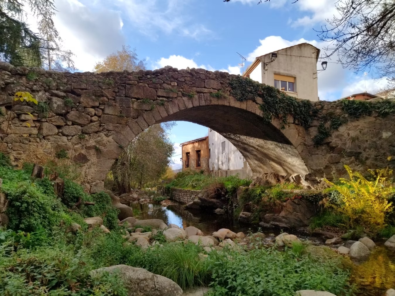 imgi_67_2dde0e_fadf262fe5624bb28877d814cbe5ab64~mv2